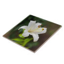 Search for twilight 15cm tiles Dusk