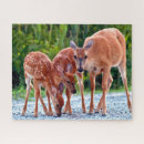 Search for baby animal puzzles Deer