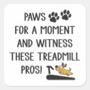 Search for witness stickers Cute