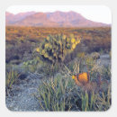 Search for sandi stickers Scenic