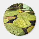 Search for pads magnets Water
