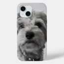 Search for schnauzer iphone cases Black and white