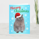 Search for funny kitty image cards From the cat