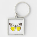 Search for one animal key rings Cute
