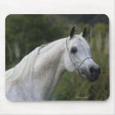 Search for arabs mouse mats Equestrian