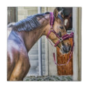 Search for horse tiles Brown