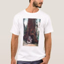 Search for redwood tshirts Yosemite