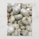 Search for garlic postcards Food