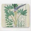 Search for cur electronics Herbal