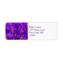 Search for crocuses Floral