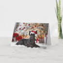 Search for scottish terrier cards Black