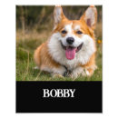 Search for cute corgi art Animal