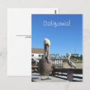 Search for beaks vertical postcards Feathers