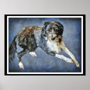 Search for labradoodle art Cute