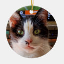 Search for tuxedo cat christmas tree decorations Cute