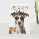Search for whippet cards Dogs