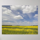 Search for central posters Horizontal