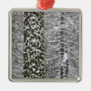 Search for yosemite national park christmas tree decorations Sierra nevada