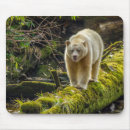 Search for canada mouse mats Bear