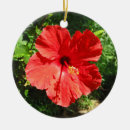 Search for hibiscus christmas tree decorations Floral