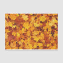 Search for leaf tissue paper Forest