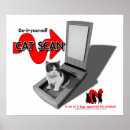 Search for funny cat pictures posters Kitten