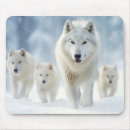 Search for wander mouse mats Animal