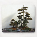 Search for bonsai electronics Nature