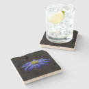 Search for african daisy barware Daisies