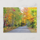 Search for fall road postcards Trees