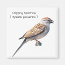 Search for sparrow gifts Wildlife