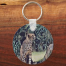 Search for wild animal key rings Forest