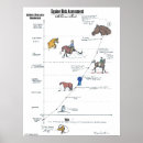 Search for equine posters Horse