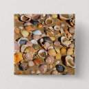Search for shell beach badges Seashell
