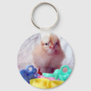 Search for baby chickens key rings Poultry
