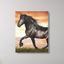 Search for black horse canvas prints Horses