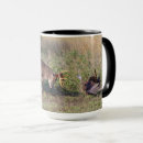 Search for ditto mugs Danita delimont