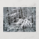 Search for winter event postcards Nature