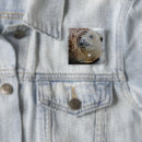 Search for seals badges Animals