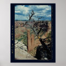 Search for photograph posters Nature photography