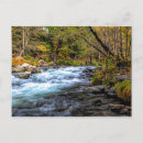 Search for sacramento postcards Scenic