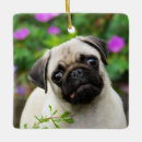 Search for fawn christmas tree decorations Puppy