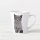 Search for stellar mugs Astronomy