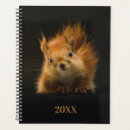 Search for squirrels office supplies Woodland
