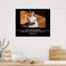 Search for relax posters Cute