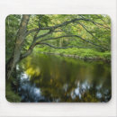 Search for jerry mouse mats New england