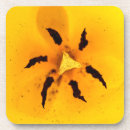 Search for pollen coasters Yellow