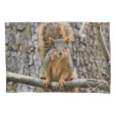 Search for squirrel pillowcases Animal