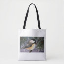 Search for chickadees bags Snow