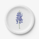 Search for bluebonnet paper plates Texan